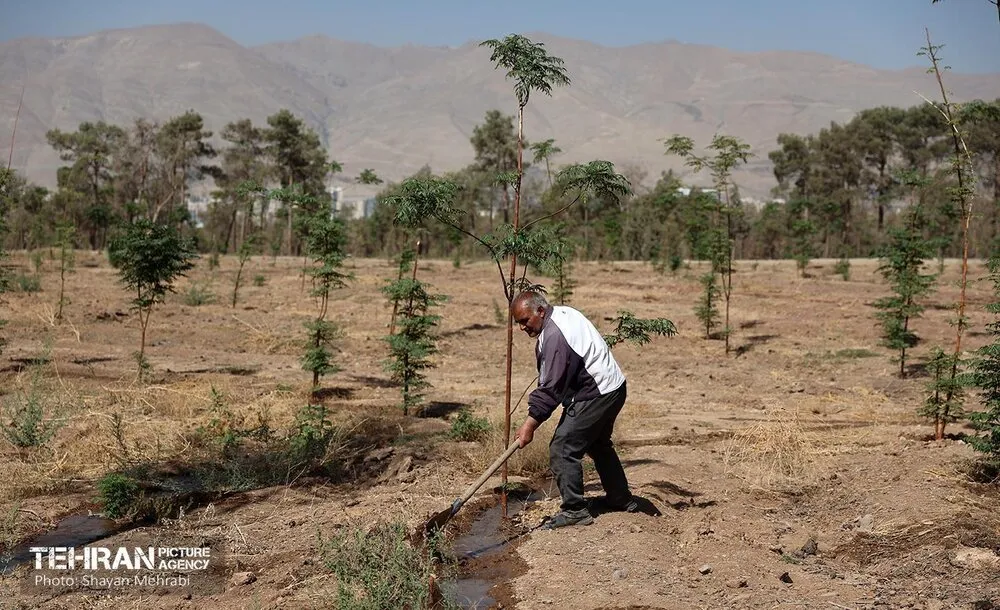 خبرگزاری آریا
