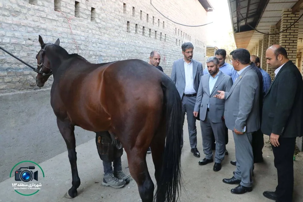 خبرگزاری آریا