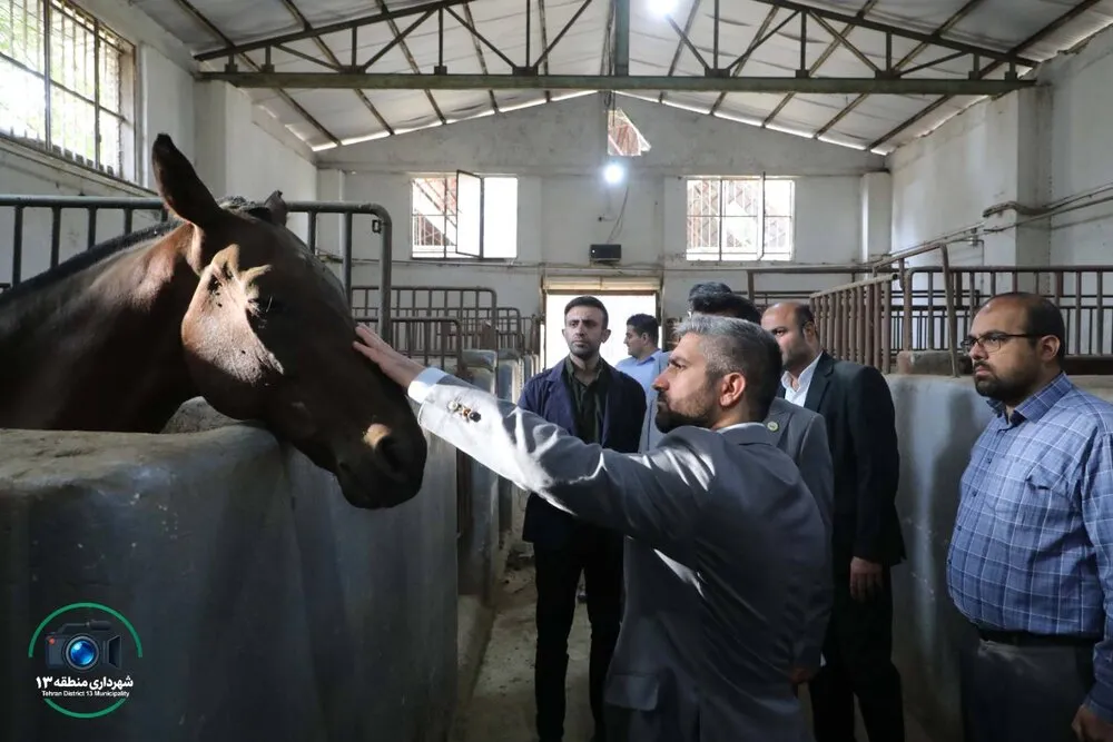 خبرگزاری آریا